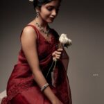 Handcrafted Embroidered Organza Saree with Heavy Silk Blouse for Weddings