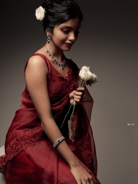 Handcrafted Embroidered Organza Saree with Heavy Silk Blouse for Weddings