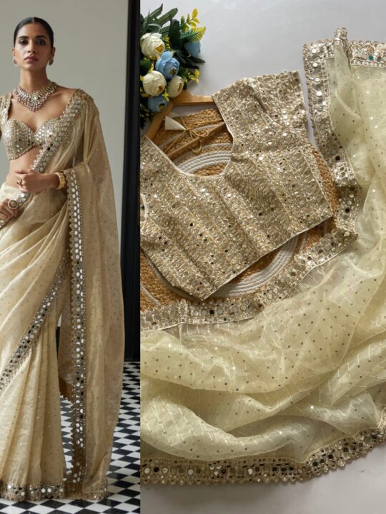 Mirror Work Organza Saree with Sequin and Lace Border