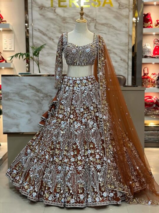 Front view of Butterfly Net Mirror Work Lehenga Choli