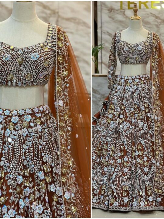 Back view of semi-stitched Lehenga Choli with 4-meter flare