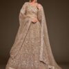Royal beige net lehenga with embroidery for weddings
