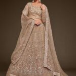 Royal beige net lehenga with embroidery for weddings