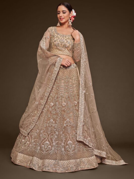 Royal beige net lehenga with embroidery for weddings