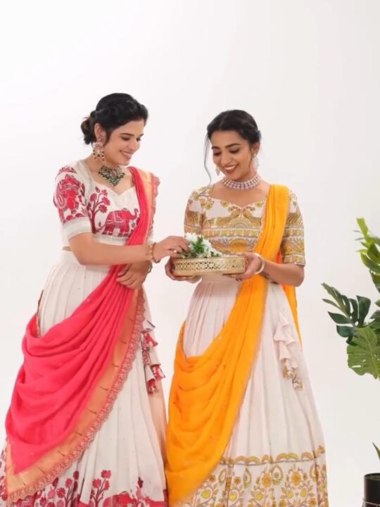 Front view of Kalamkari cotton lehenga choli with embroidered dupatta