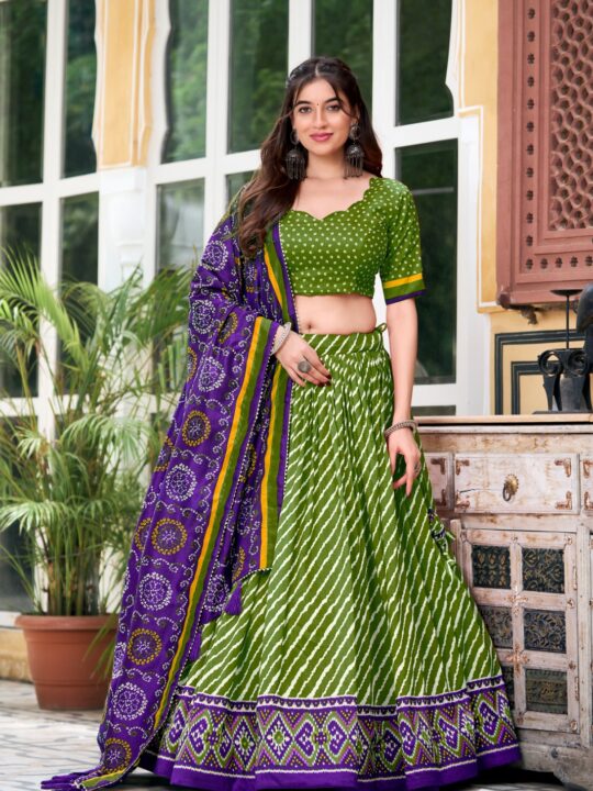 Back view of drawstring lehenga waist with zip