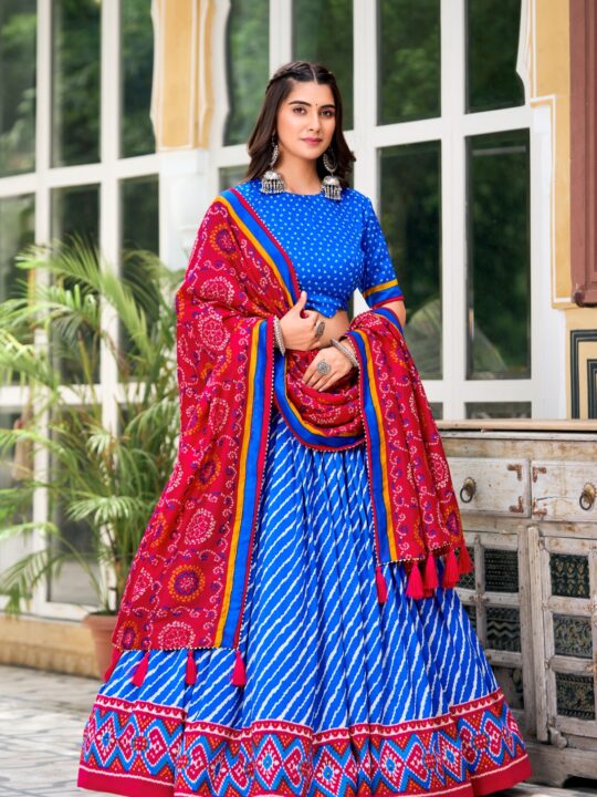 Close-up of Patola print border and tassels