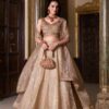 Front view of Gold Crush Lehenga Choli set with embroidery