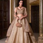gold crush lehenga choli