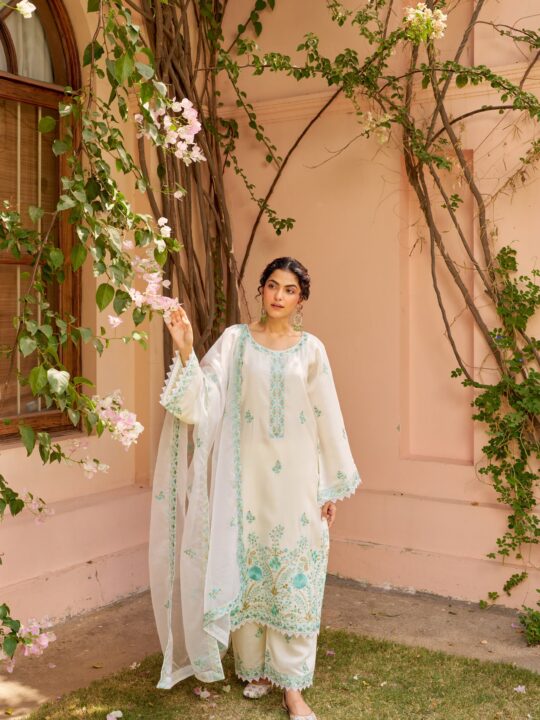 ivory white chanderi embroidered