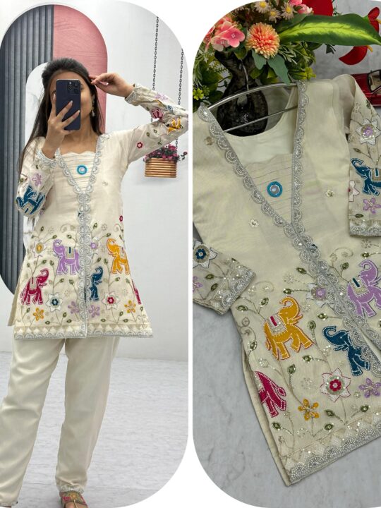 Embroidered Tissue Silk Co-ord Set for Women – Pramukhmart