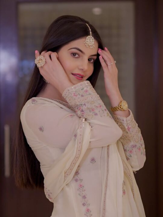 Close-up of embroidery on Chinon kurti and dupatta