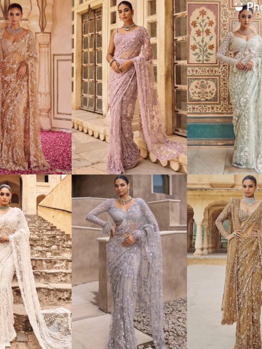 sequin embroidered net saree