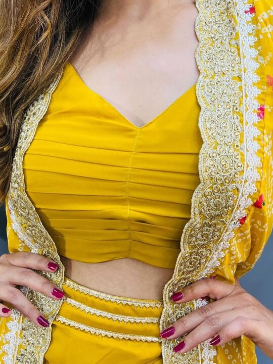Close-up of Embroidered Belt on Dhoti Style Saree