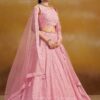 Embroidered chaniya choli with net dupatta – front view