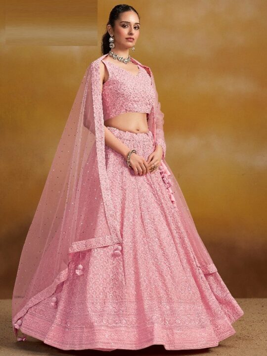 Embroidered chaniya choli with net dupatta – front view