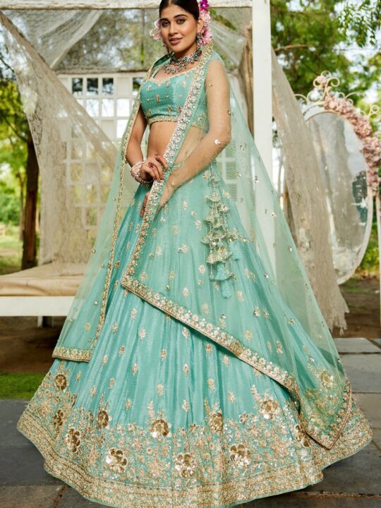 Embroidered chaniya choli with gold sequins and net dupatta