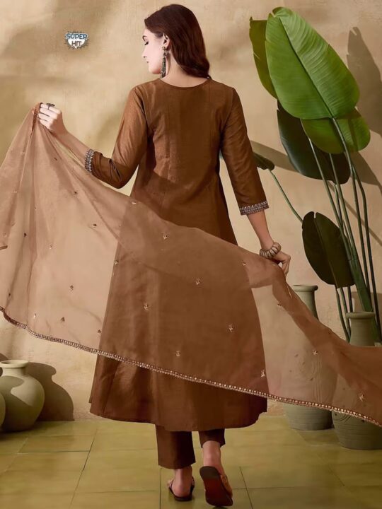 Back design of kurti with lace organza dupatta