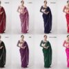 Bollywood mirror work saree with original mirror lace and embroidered blouse – Pramukhmart