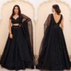 Black georgette embroidered lehenga choli with net dupatta – front view