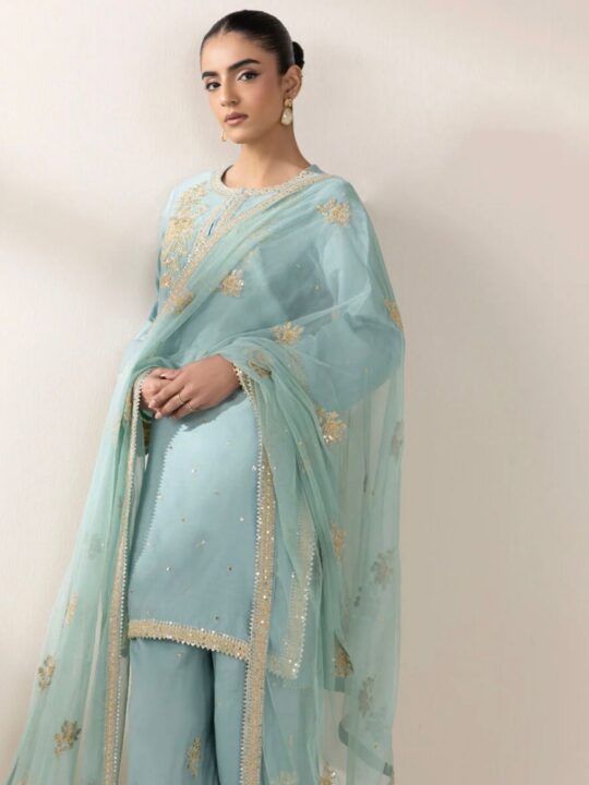 Pure tissue silk dupatta with sequin embroidery