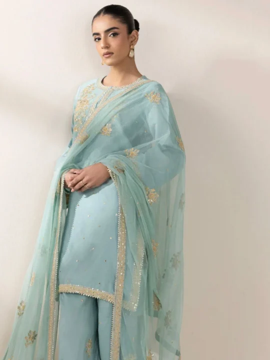 Pure tissue silk dupatta with sequin embroidery