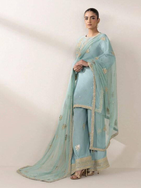 Chinnon silk top with embroidery sequence work