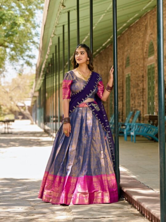 Georgette dupatta with sequins embroidery