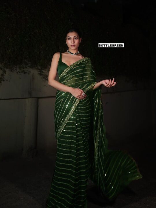 Partywear embroidered saree in 6 exclusive colors