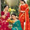 Chiffon saree with full lace border and fancy blouse – Pramukhmart
