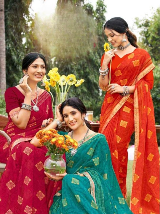 Chiffon saree with full lace border and fancy blouse – Pramukhmart