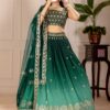 heavy embroidered chaniya choli