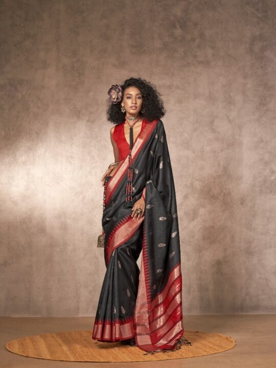 Bhagalpuri silk saree with Gadwal border and matching blouse from Pramukhmart