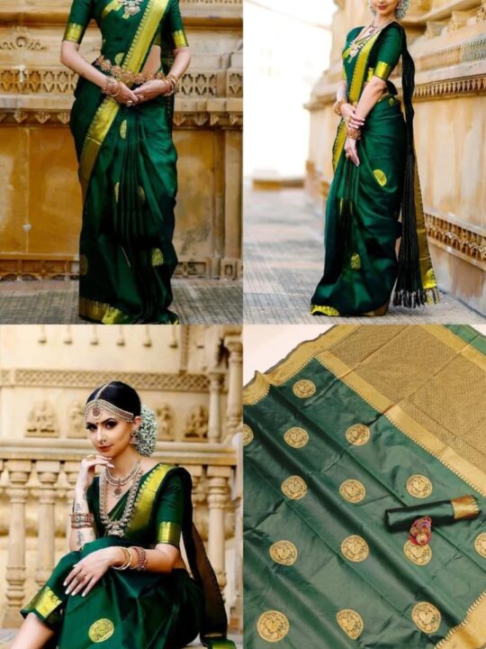Traditional Indian Banarasi saree with jacquard blouse